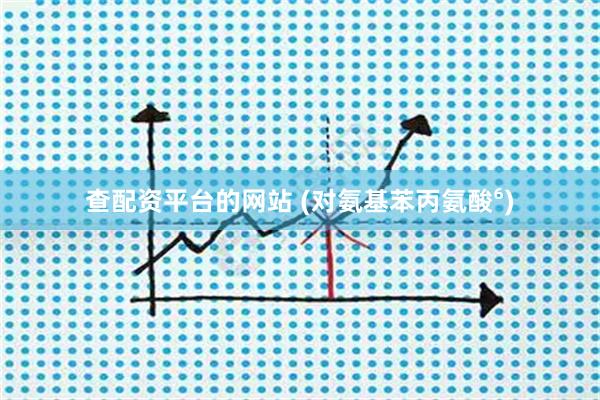 查配资平台的网站 (对氨基苯丙氨酸⁶)