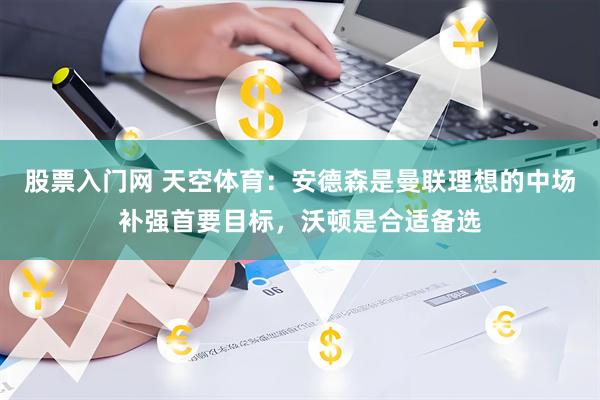 股票入门网 天空体育：安德森是曼联理想的中场补强首要目标，沃顿是合适备选